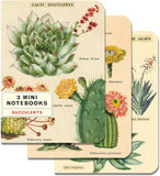 3 Mini Notebooks - Succulents