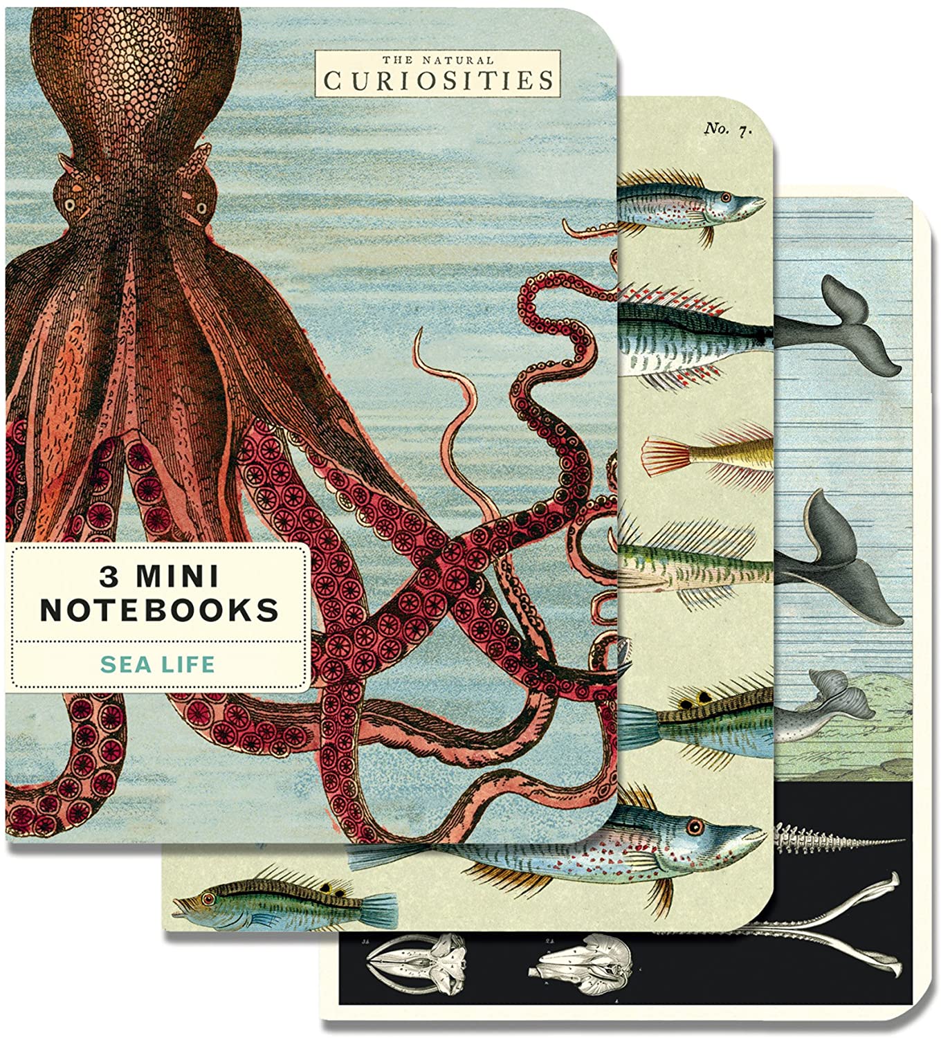 3 Mini Notebooks - Sea Life
